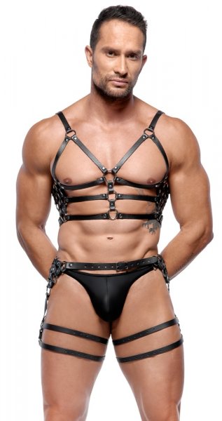 Leather harness set