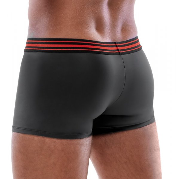 Boxer Briefs