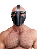 Preview: Mister B Leather Face Muzzle Harness